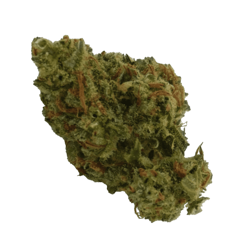 buy-Jack-Herer-(bedrocan)-UK