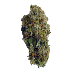 Buy Blue Dream Haze Online UK