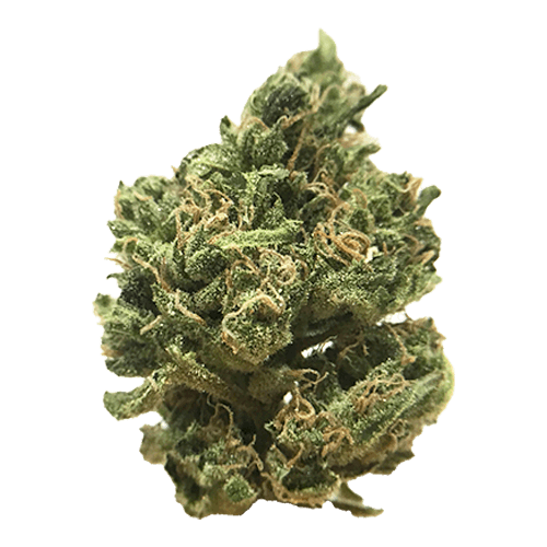 buy-blueberry-online-uk