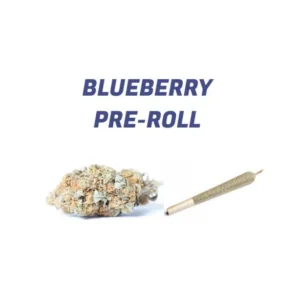 Buy Blueberry Pre-rolled Joint – Bulk 25 For £70 UK