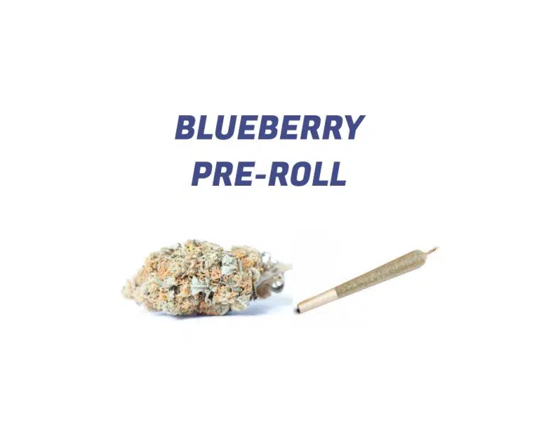 buy-blueberry-pre-rolled-joint-bulk-25-for-70-uk