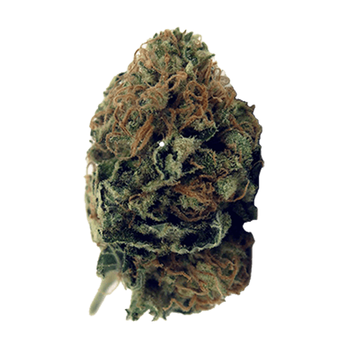 buy-chocolate-kush-online=uk