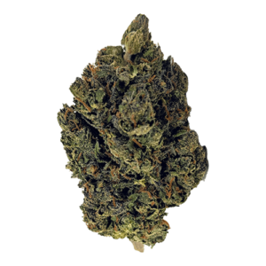 Buy Gelato 41 Online UK