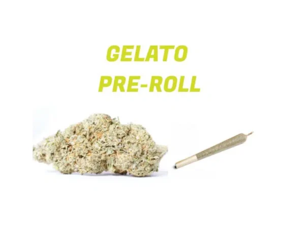 Buy Gelato Strain Pre-rolled Joint – Bulk 25 for $88 UK