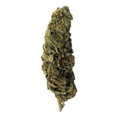 buy-grapefruit-diesel-online-uk