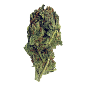 Buy Hawaiian Haze Online UK