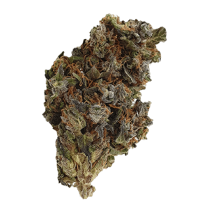 Buy Kurokush Online UK