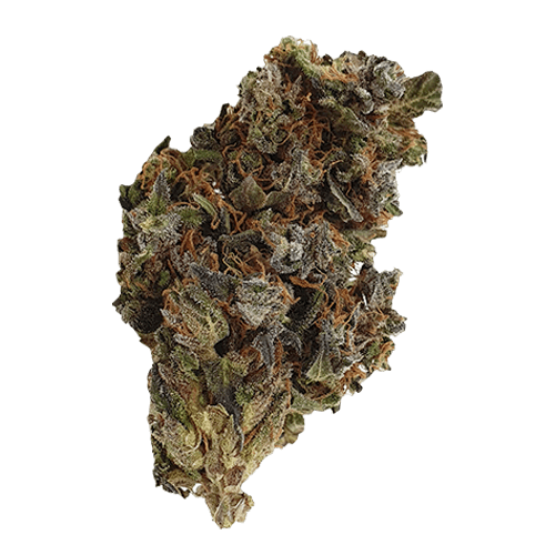 buy-kurokush-online-uk