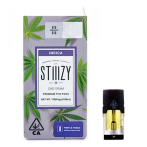 Buy Purple Punch Stiiizy Pod 1G Online UK