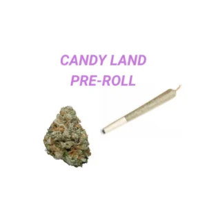 Buy Candyland  Pre-rolled Joint – Bulk 25 for £125 UK