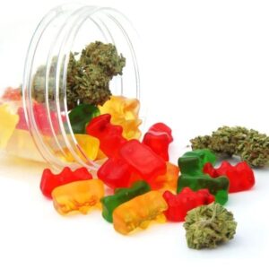 Flavored Gummy Bears Pack 1200MG (20 x 60MG)